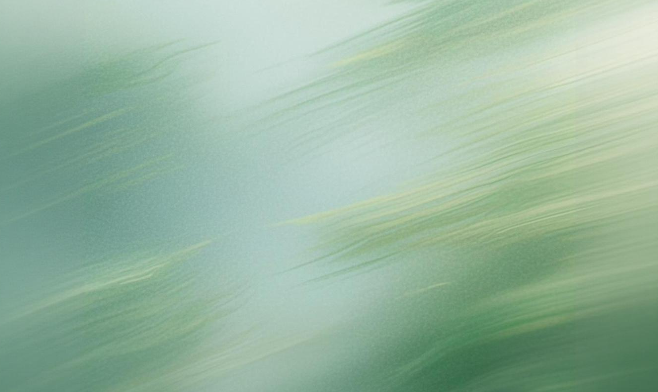 Rentalyze background